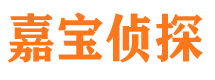 泾川市调查公司